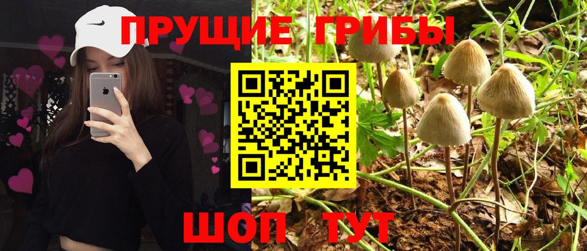 Псилоцибиновые грибы Psilocybe  Галлюциногенные грибы мицелий  купить закладку  Вход с VPN  Березники 